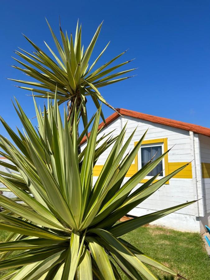 Ferienwohnung La Pinza Bl Am El Palmar de Vejer Exterior foto